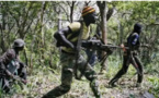 Casamance : Un accrochage entre l’armée et le MFDC, fait deux morts