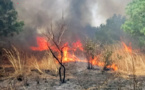 Boyinadji : Un feu de brousse ravage une importante surface de tapis herbacé