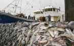 Crise des ressources halieutiques : Des acteurs de la pêche tirent sur la sonnette d’alarme