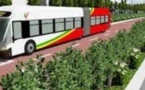 Inauguration du Brt: Une opération de désencombrement prévue à Dakar, à partir de ce vendredi