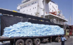 Stabilité des prix du riz brisé au Sénégal : Importateurs et Autorités accordent leurs violons