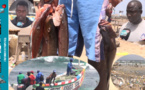 Une semaine après la fête de Tabaski: Une rareté du poisson observée dans certains lieux de pêche 