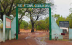 L’UNESCO retire le parc Niokolo Koba de la liste du patrimoine mondial en péril