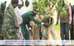 Touba : La Journée nationale de l'arbre célébrée sous le thème « L'arbre, notre assurance vie »