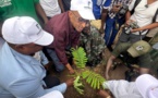 Journée Nationale de l'Arbre à Rufisque : Promovilles répond à l'appel du président Diomaye Faye