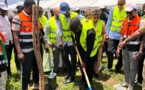 Photos/ Journée de verdissement de la DGPU : Plus de 3000 arbres plantés pour rendre le Pôle vert et durable