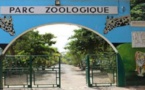 Parc zoologique de Hann : Entre dénégation ministérielle et réalité alarmante (Les Chroniques citoyennes d’Adama Diop)