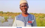 Crue au niveau du fleuve Sénégal : Les agriculteurs de Walaldé voient toute leur production agricole dévastée