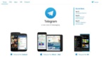 Telegram, l'application qui permet à Daesh de communiquer sans risque
