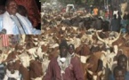 Abus de confiance : Le verdict de l’affaire du responsable de l’abattoir de Cheikh Bethio Thioune