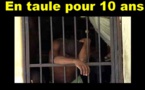 Sénégal : 759 personnes en prison pour pédophilie depuis janvier 2016