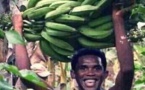 Quand Samuel Eto’o était cultivateur de Banane