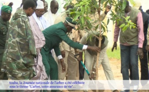 Touba : La Journée nationale de l'arbre célébrée sous le thème « L'arbre, notre assurance vie »