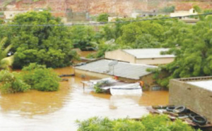 PODOR-MATAM: Les cours d’eau envahissent maisons et cultures - Les populations appellent au secours