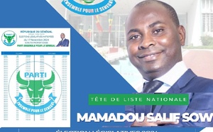 Qui est Mamadou Salif Sow ?  Portrait et parcours de la tête de liste du parti "Ensemble pour le Sénégal"    -Version Wolof 