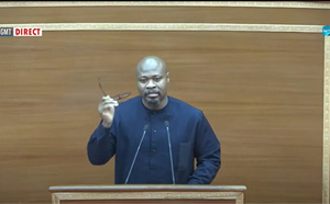 Assemblée nationale / Mohamed Guy Marius Sagna : "Les voleurs n'ont aucune leçon à nous donner"