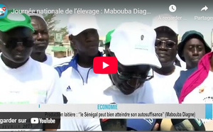 Journée nationale de l’Elevage : Mabouba Diagne appelle à une mobilisation massive à Kaolack