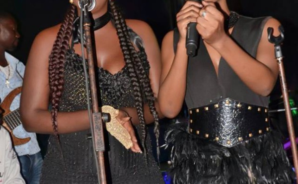 Photos : Belles et sexy, les gazelles du groupe SAFARI