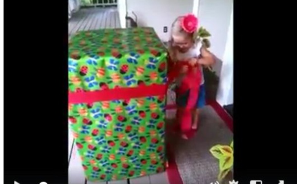 Incroyable et adorable surprise reçu par une petite fille comme "cadeau", après des mois sans voir son père, qui était envoyé en Afghanistan