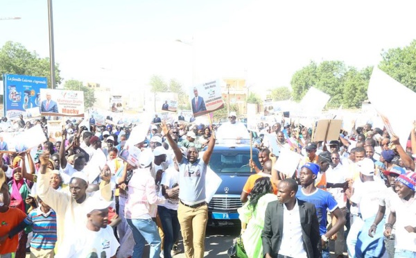 Macky Sall chez la famille omarienne à Louga : Mamour Diallo mobilise en masse ses militants