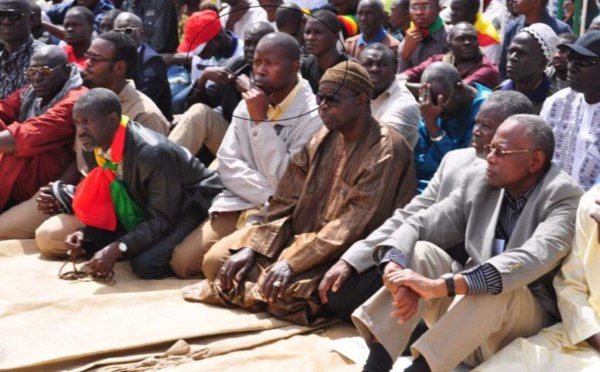 In Memoriam, Mamadou Diop disparaissait tragiquement le 31 janvier 2012 