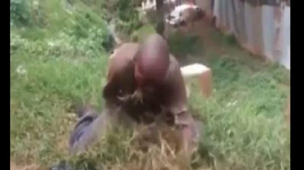 VIDEO: Un homme envoûté mange de l’herbe. Découvrez la raison