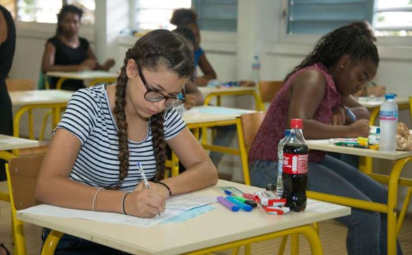 Bac 2017 : portrait d'Elsa, 13 ans, la plus jeune candidate de France