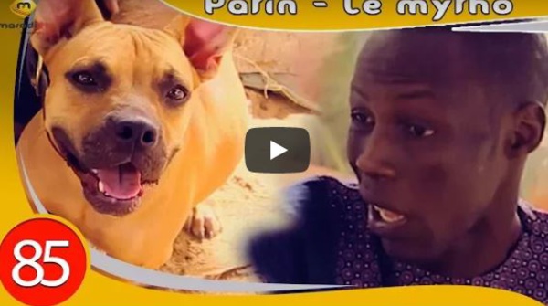 Patin affronte un chien méchant... Regardez la suite ....à mourir de rire!!