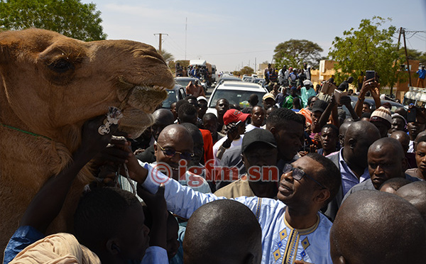 30 photos : Youssou Ndour honoré par les populations de Ndioum