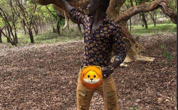 Arrêt sur image : Quand le Lion Idrissa Gana Guèye rencontre d'autres Lions !