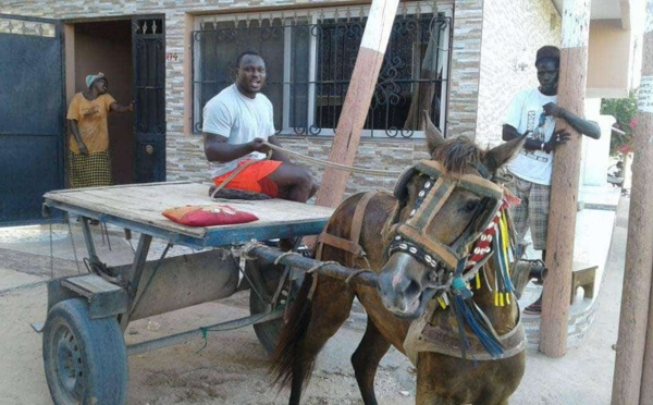 Photos : Modou Lô se rappelle de son passé de charretier 