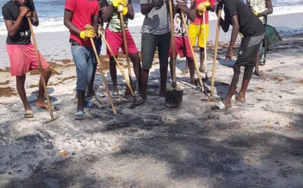 Photos : TrashChallenge, les volontaires de Palmarin nettoient le littoral