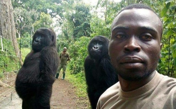 Arrêt sur image - Cette surprenante photo pourrait bien être le selfie de l’année