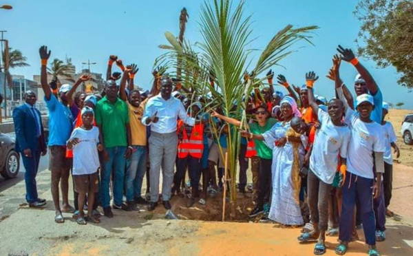 PHOTOS - Programme de remplacement des palmiers de la Corniche avec le ministre Abdou K. FOFANA et l’association Ecolibri