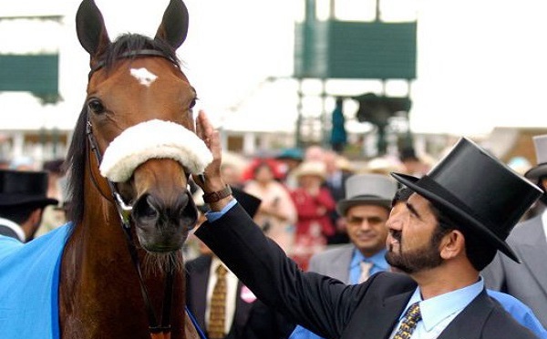 Dubaï: Cheikh Mohammed dépense plus de 4 millions de dollars pour un cheval (photos)