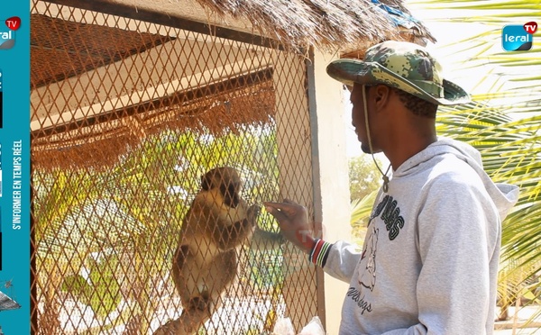 Parc Le Mbossé du Lac rose :  À la découverte des crocodiles, antilopes et pythons…