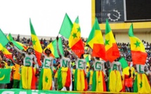 Vidéo : Coaching d'Aliou Cissé, les Sénégalais se prononcent...