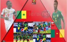 CAN 2017-Sénégal/Cameroun : deux "Lions" pour un seul ticket!