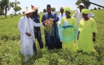 Tournées économiques: Saint-Louis, la ville tricentenaire se prépare à accueillir le Président Macky Sall