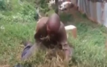 VIDEO: Un homme envoûté mange de l’herbe. Découvrez la raison