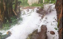 Phénomène Inhabituel: la «neige» tombe au Cameroun? Photos