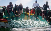 Pêche illégale : 13 pêcheurs sénégalais expulsés de Mauritanie, d’autres entre les mains des garde-côtes