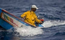 Au Sénégal, éleveurs et pêcheurs s’informent et échangent en temps réel