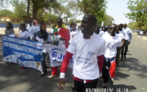 Recherche de l’Emploi : La Convergence des diplômés du Sénégal invite l’Etat à « outiller » les jeunes