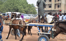 Magal Touba 2017: Quand les charretiers tirent leur épingle du jeu