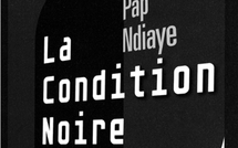 Pap Ndiaye, La Condition noire. Essai sur une minorité française