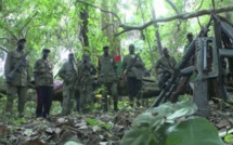 Urgent- Attaque armée en Casamance: Un enfant de 6 ans tué, une dame gravement blessée