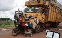 Petit-Mbao : 1 tonne de chanvre indien saisie dans un camion en provenance du Mali