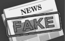 La lutte contre les FAKE NEWS: comment s’y prendre ?