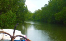 Casamance : Une fille de 10 ans tombe et meurt dans un canal